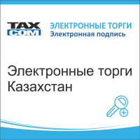Электронные торги. Казахстан